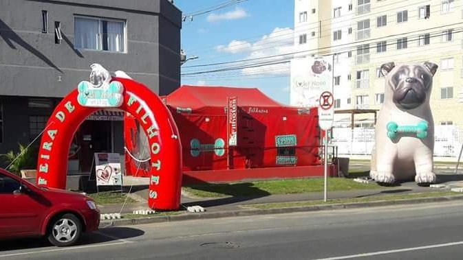 Wet Nose Maior Venda de Filhotes Curitiba