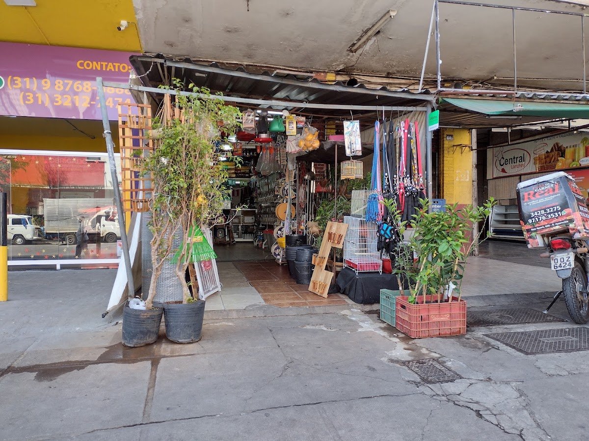 Agroclé da Agropecuária