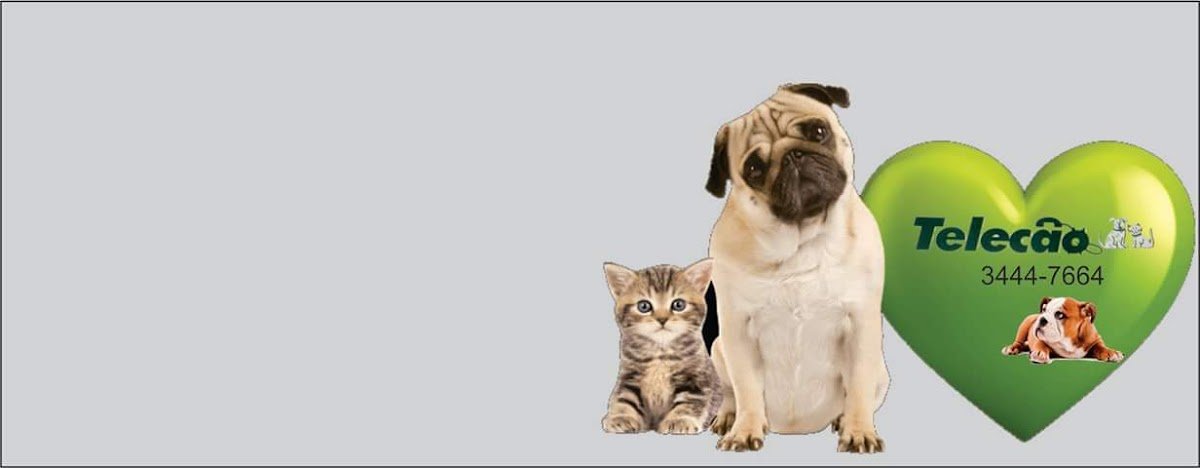Telecão Clínica Veterinária