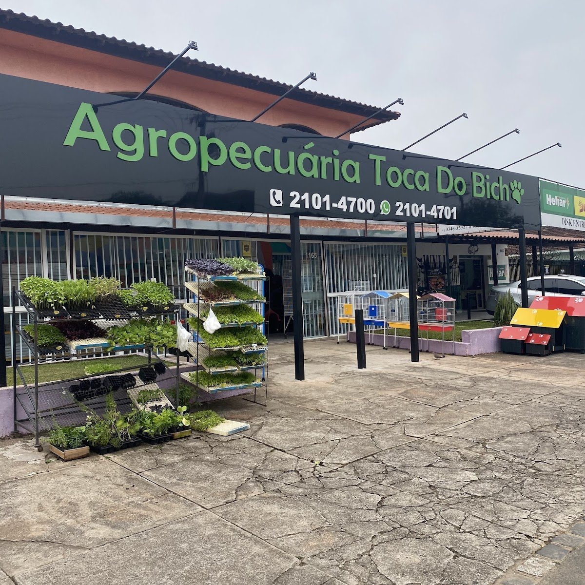 Agropecuária Toca do Bicho Loja 3