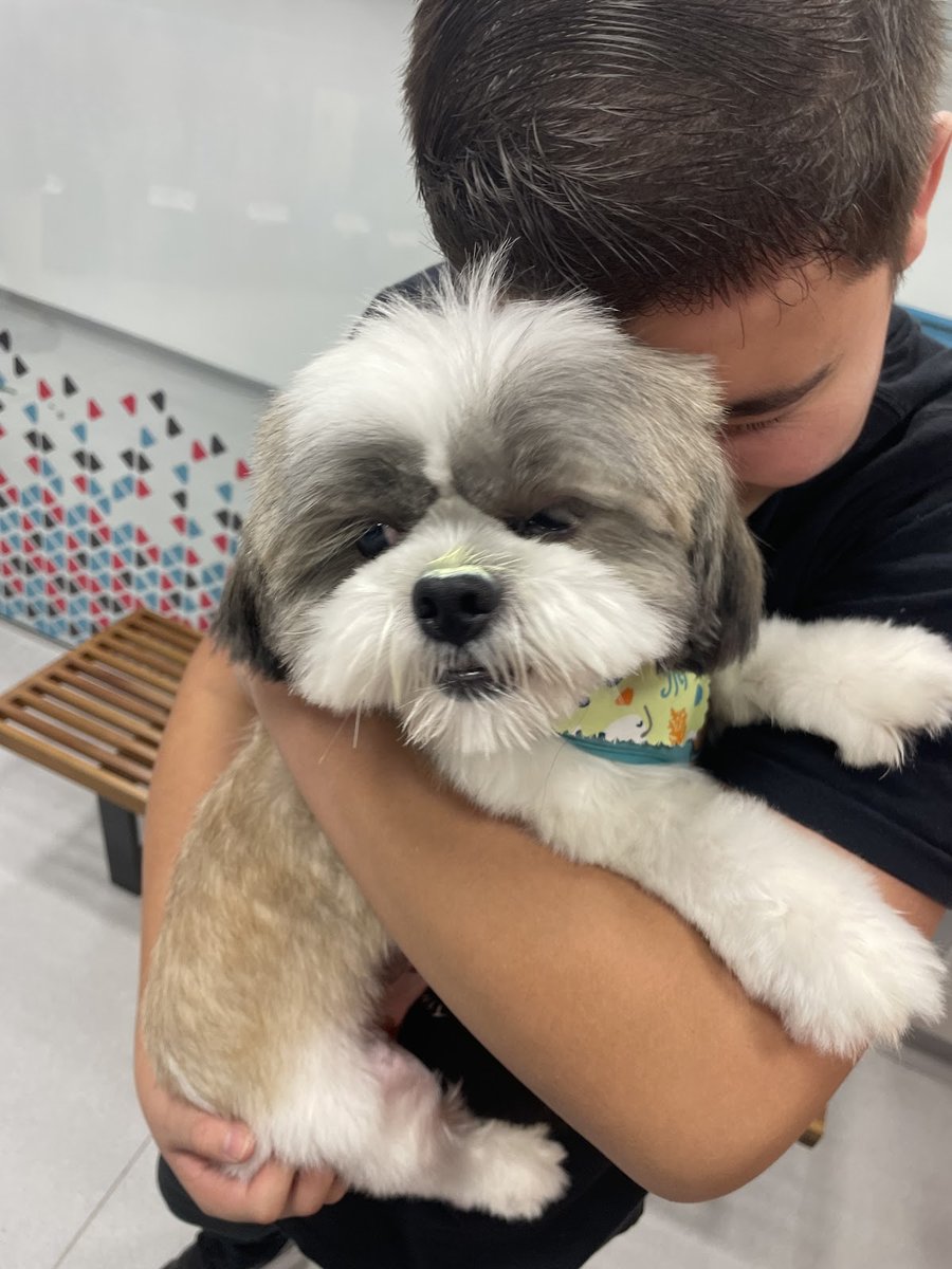 Docg Hiperzoo Shopping Curitiba