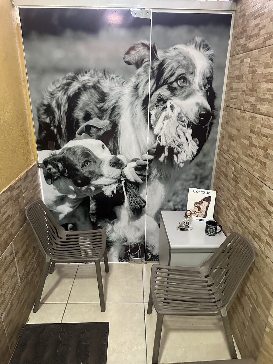 Casa de Rações Patas e Bicos, Consultoria veterinário