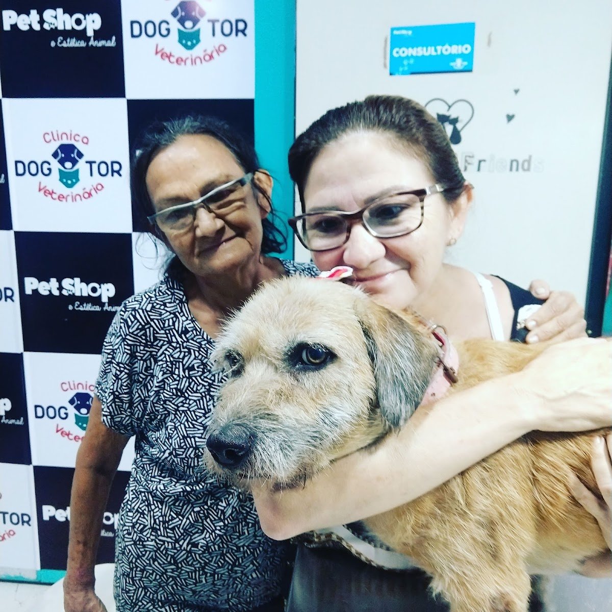 Clínica Veterinária Dogtor