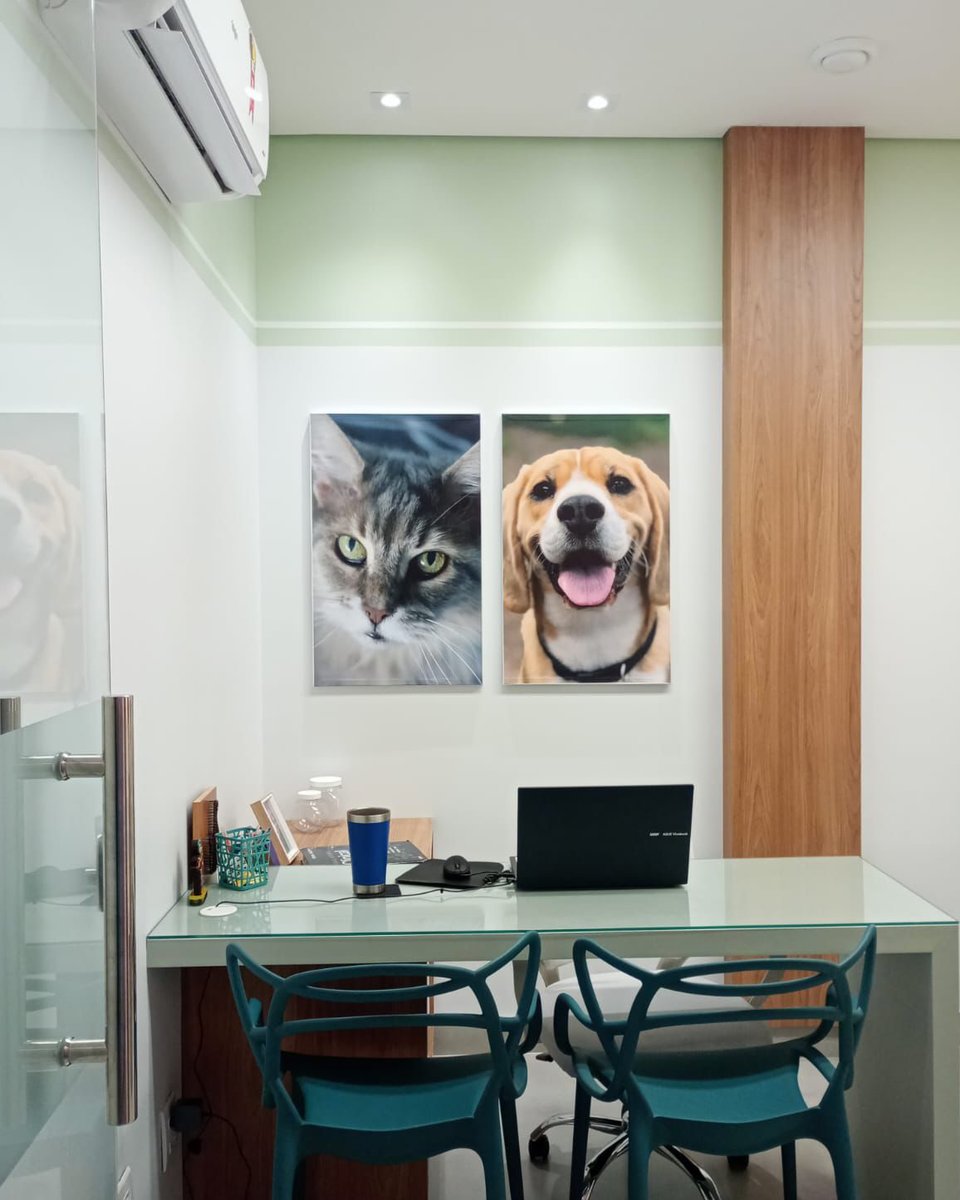 Centro Oncológico Veterinário Belo Horizonte (Oncologia Veterinária)