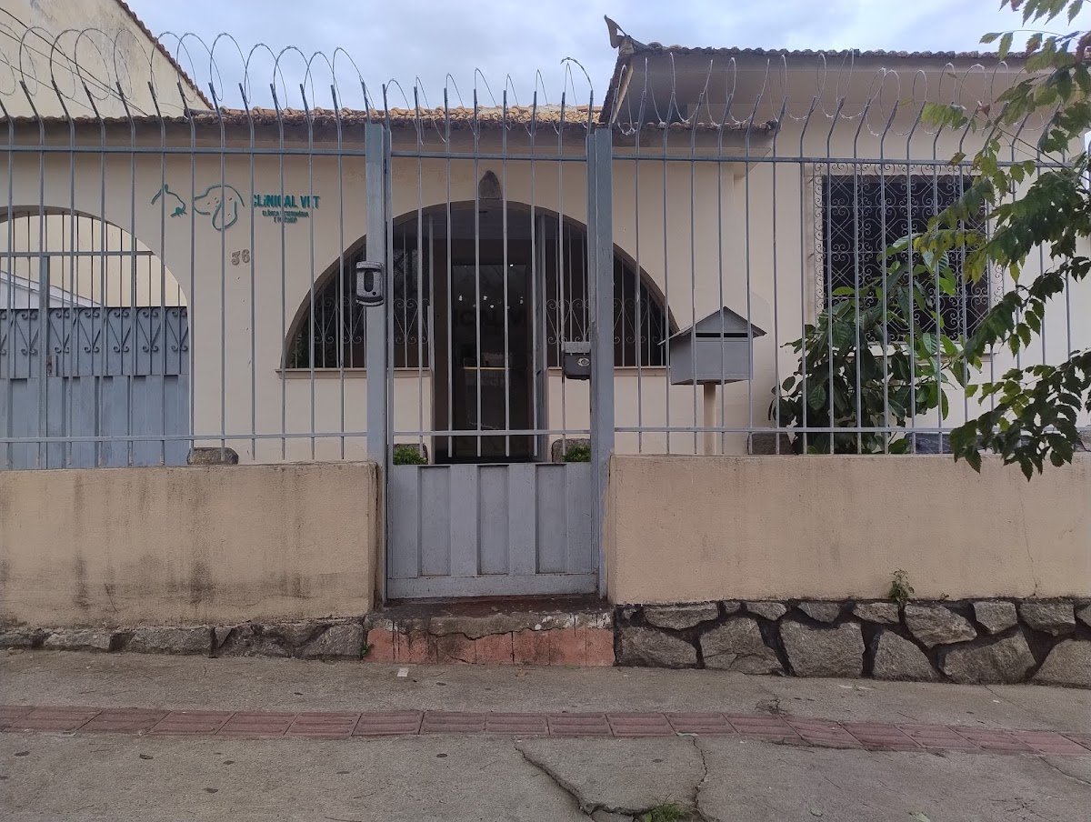 Clinical Vet Clinica Veterinaria