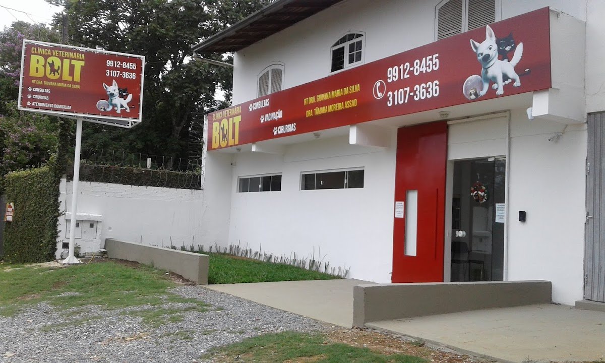 Bolt Clínica Veterinária