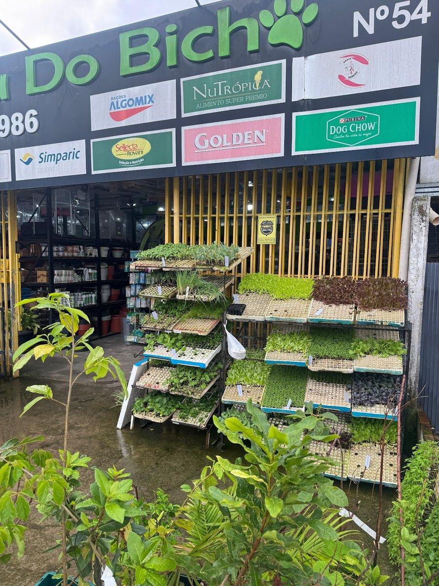 Aviário Toca do Bicho