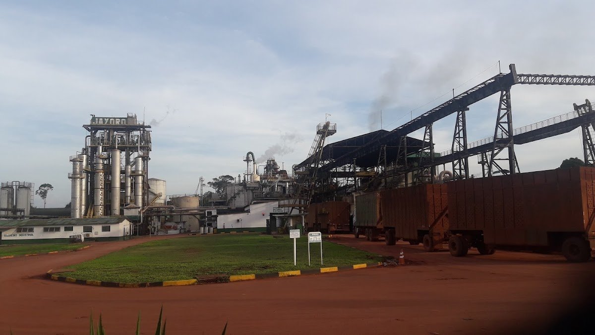 Agropecuária Jayoro