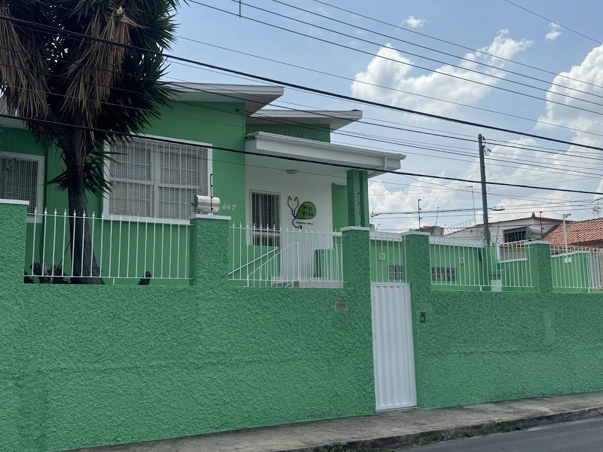 Mia Vida Medicina Felina - clínica veterinária exclusiva especializada em gatos (BH - MG)