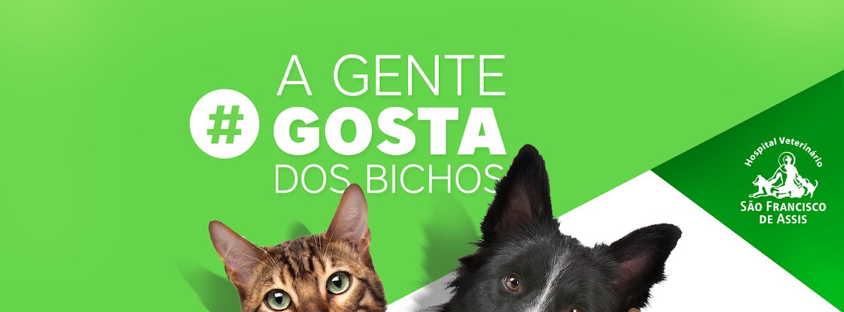 Hospital Veterinário São Francisco de Assis