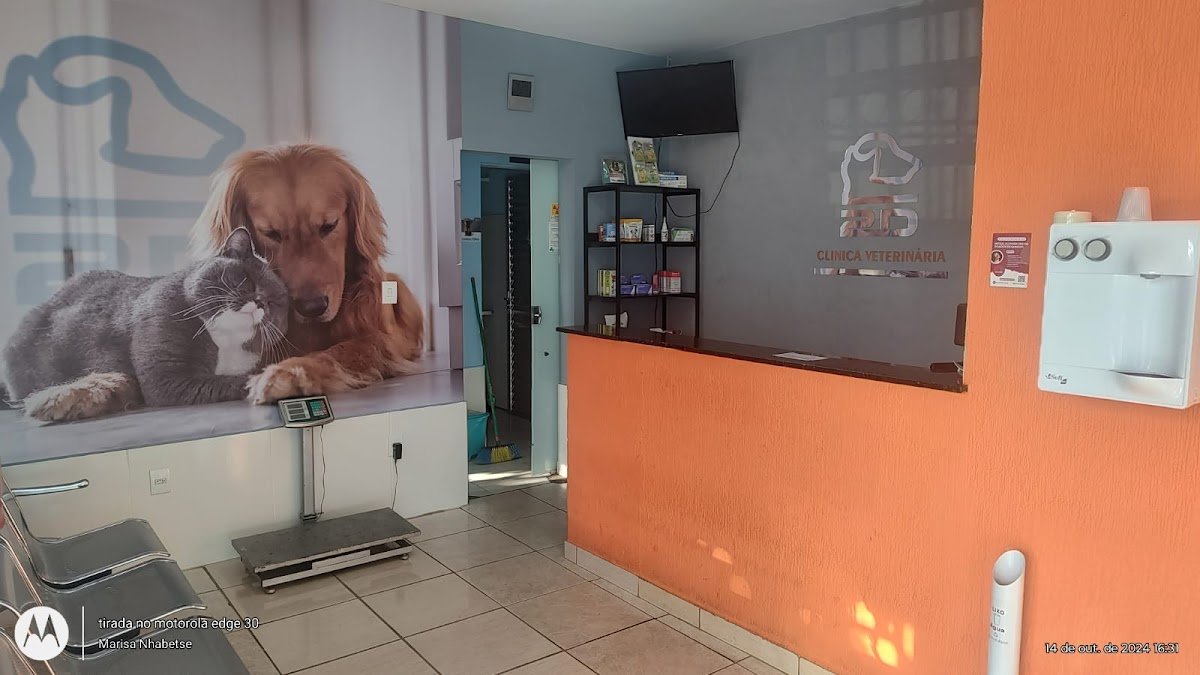 Clínica Veterinária 2D - Clínica Veterinária 24 Horas