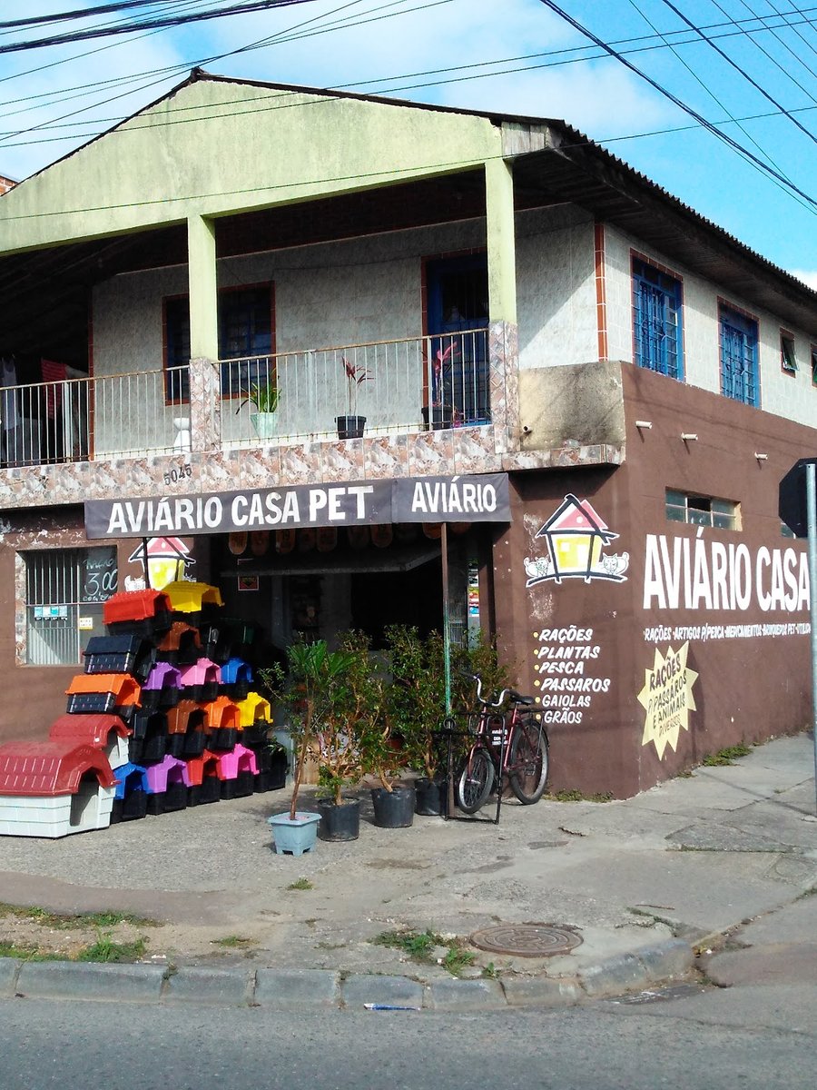 Aviário Casa pet