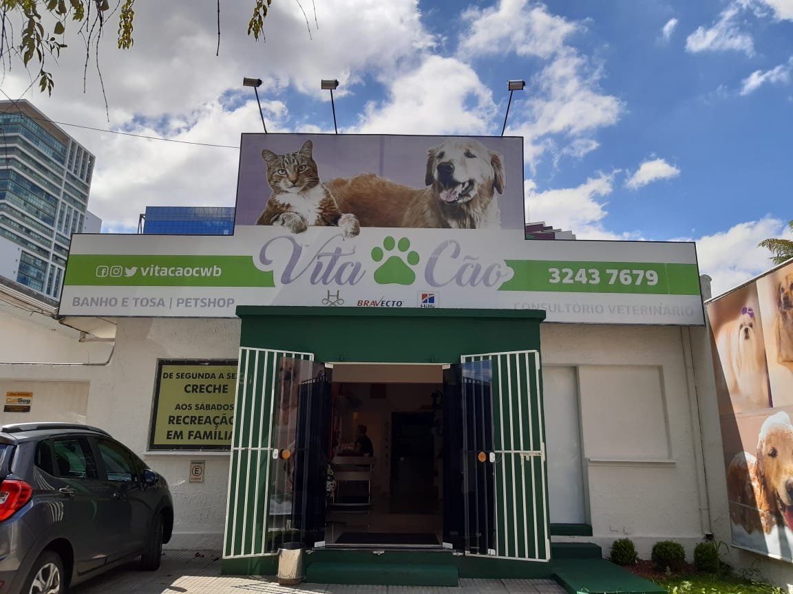 Vita Cão
