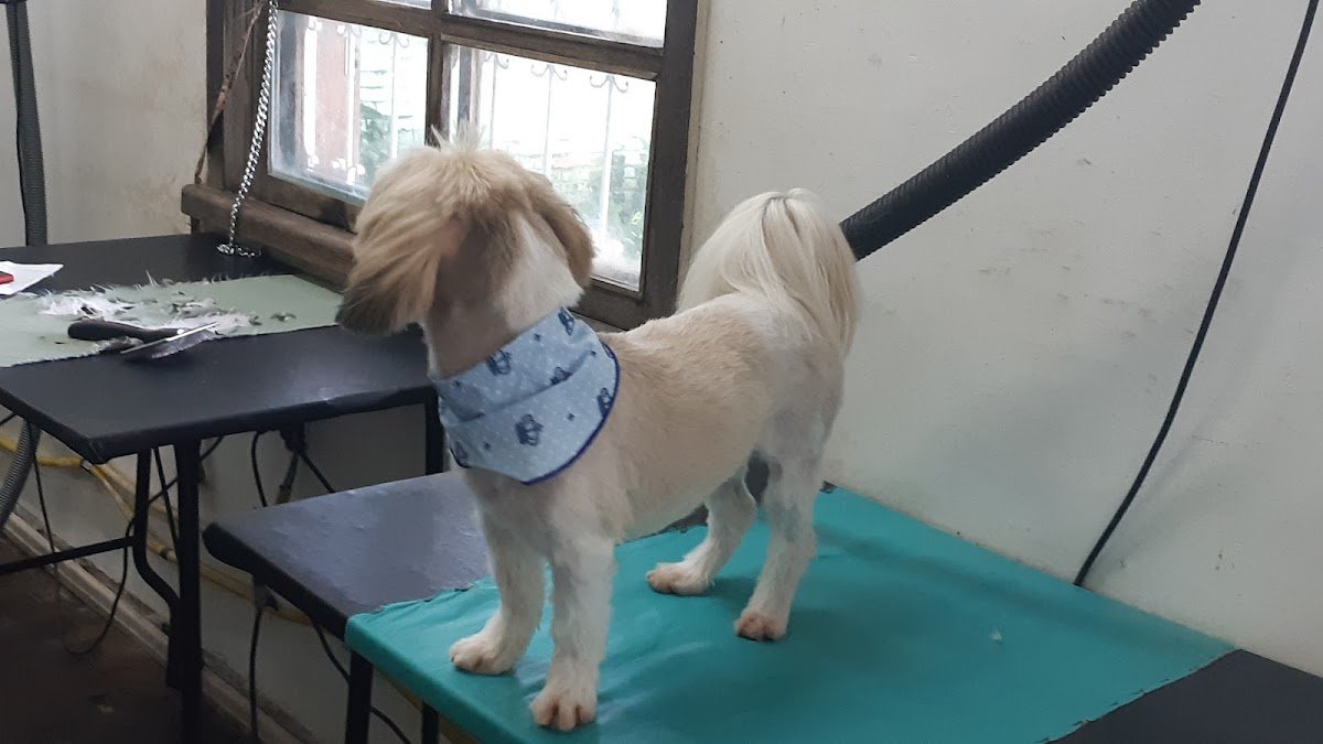 Pet Shop da RÔ MarcospetsPlanalto - BH