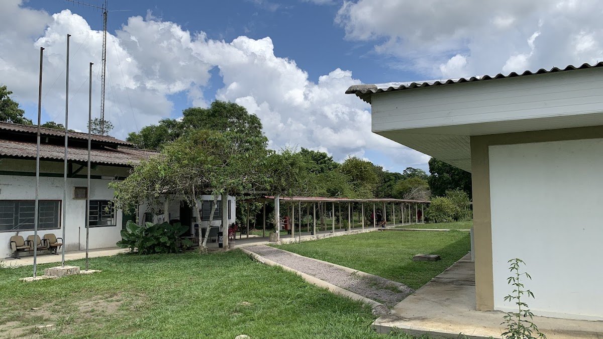 Fazenda Experimental - UFAM