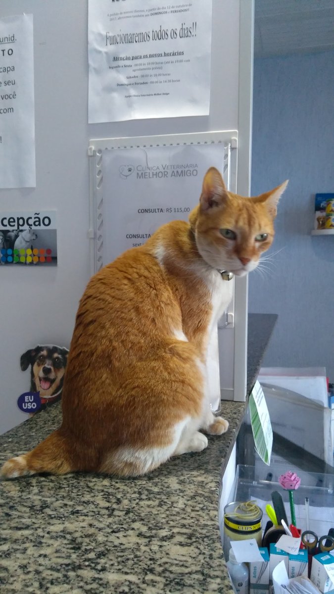 Melhor Amigo Clínica Veterinária
