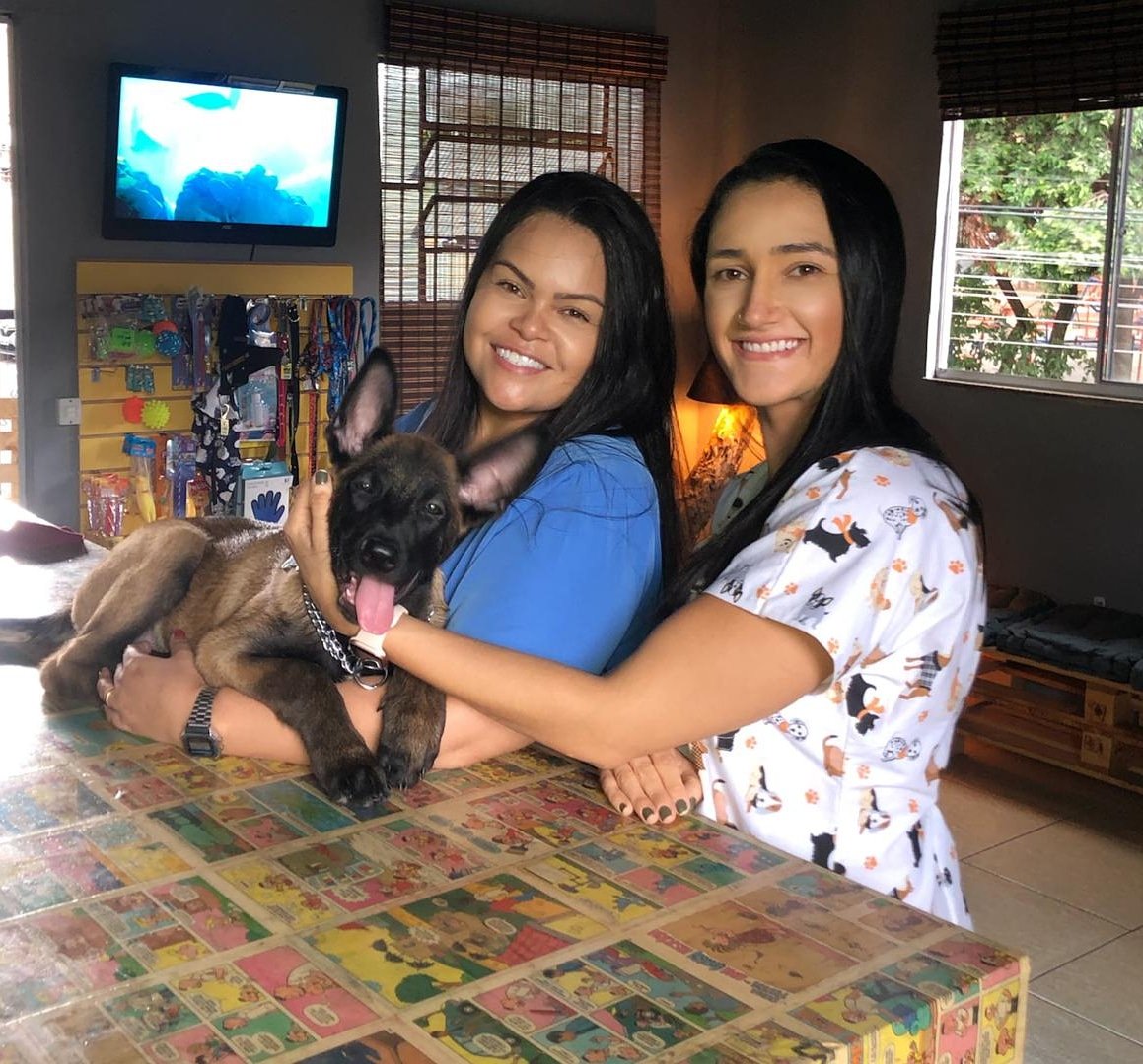 Hospetal clínica veterinária