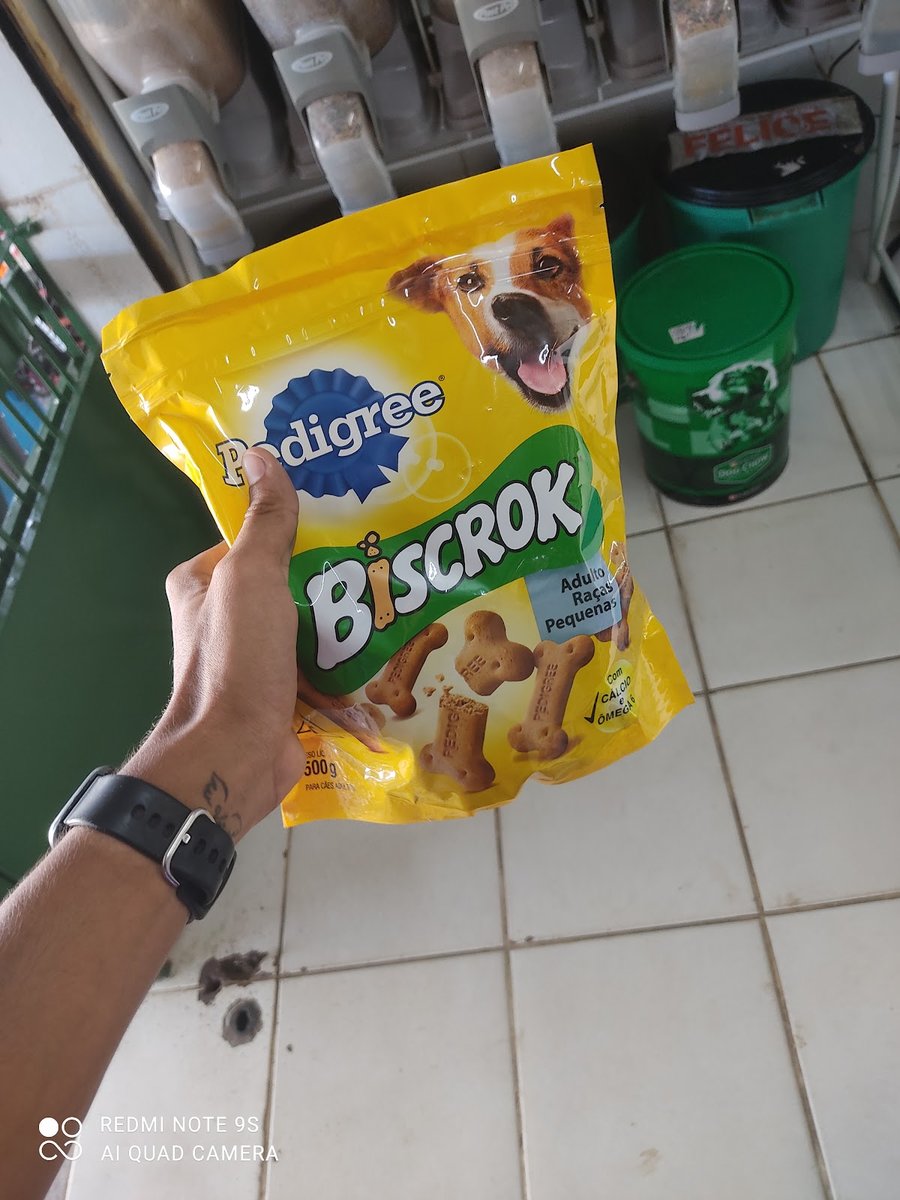 Cacá Pet e Rações