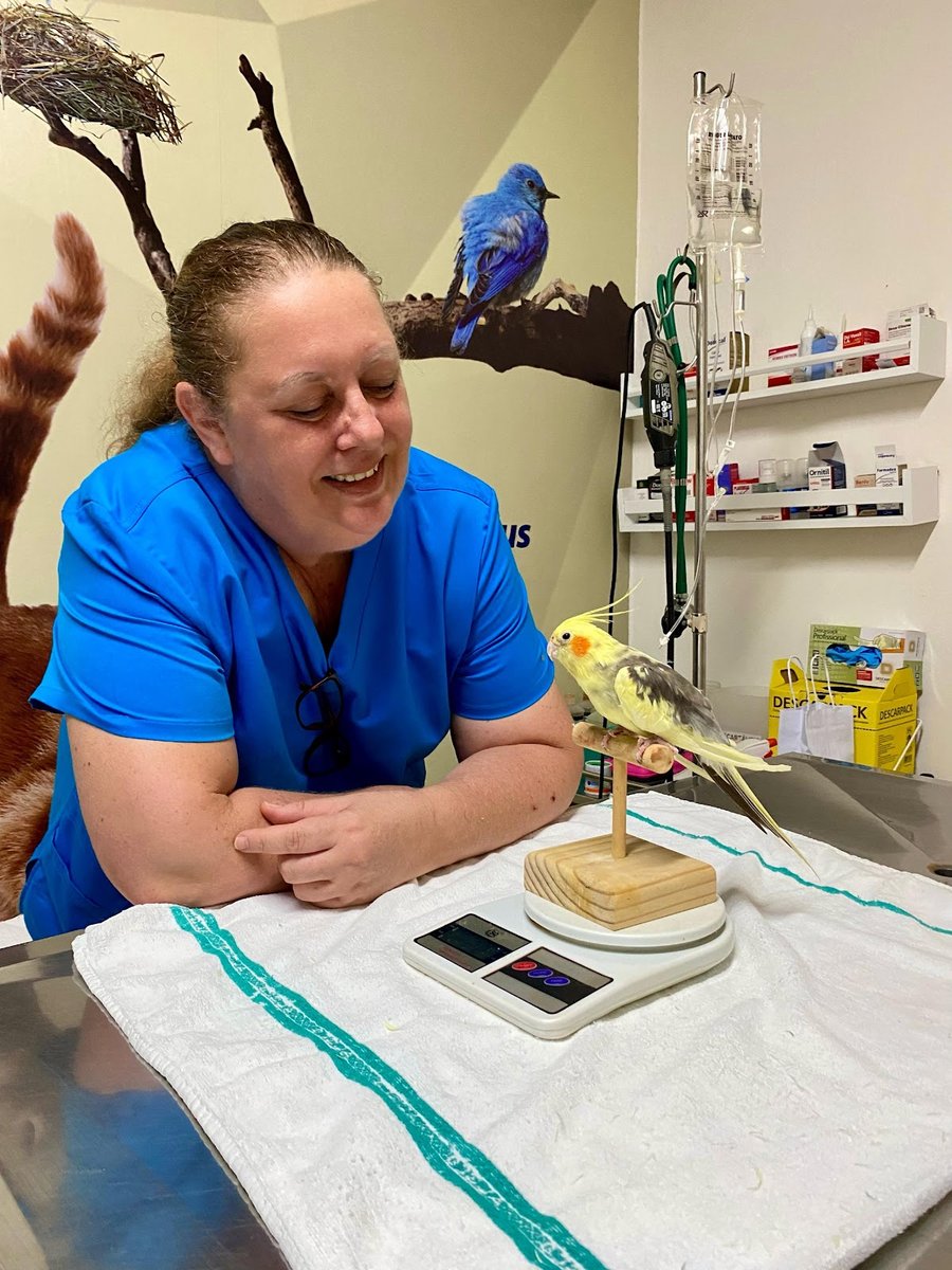 Clínica Veterinária Fauna