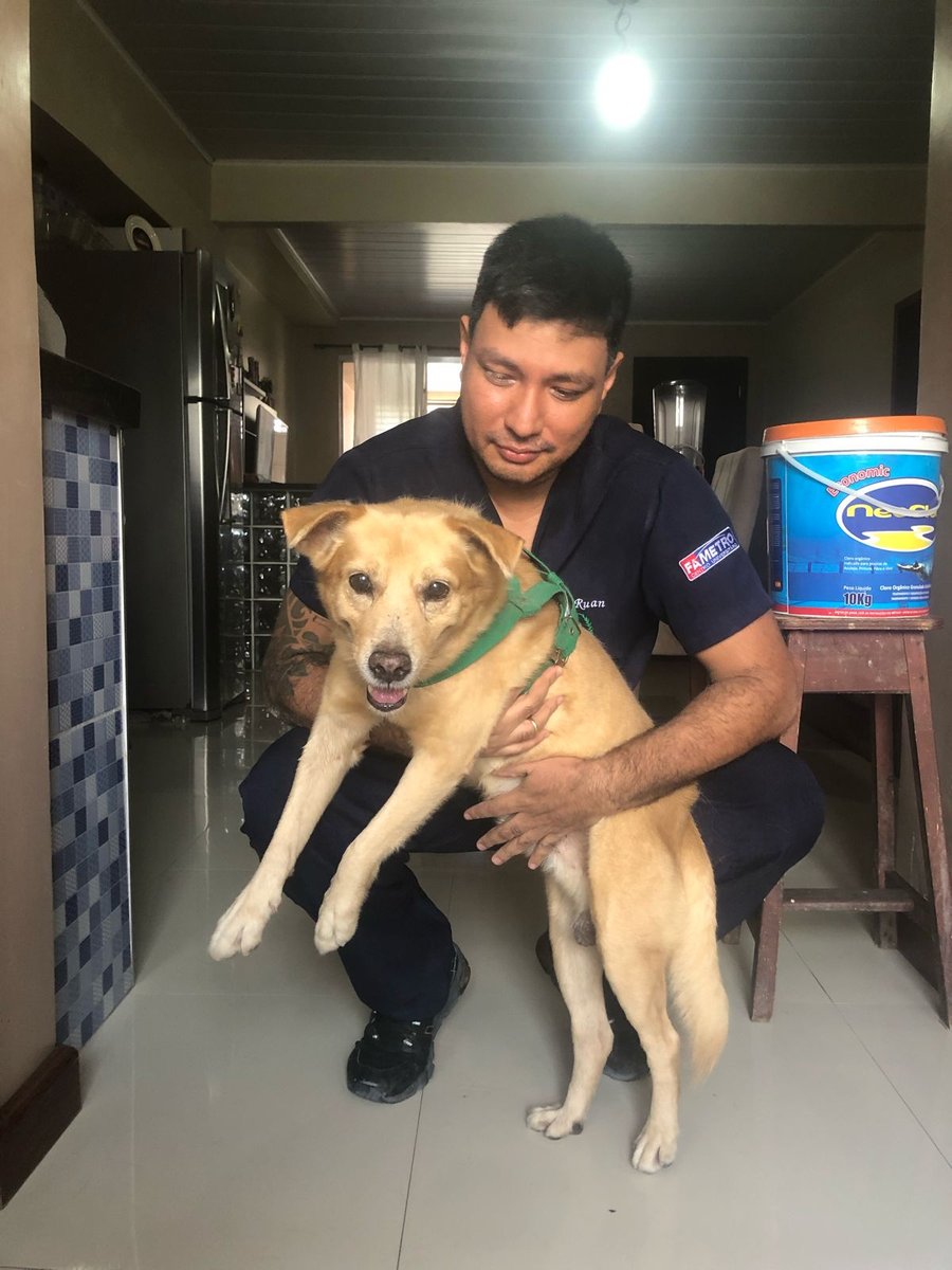 Veterinário Domiciliar | Dr Diego Ruan | Manaus