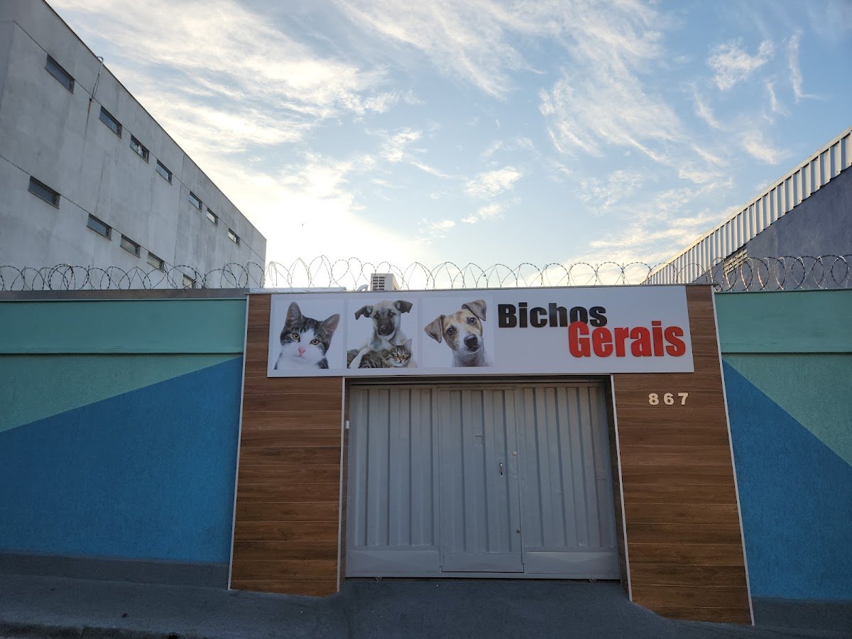 CLÍNICA VETERINÁRIA BICHOS GERAIS UNIDADE PATRIARCA