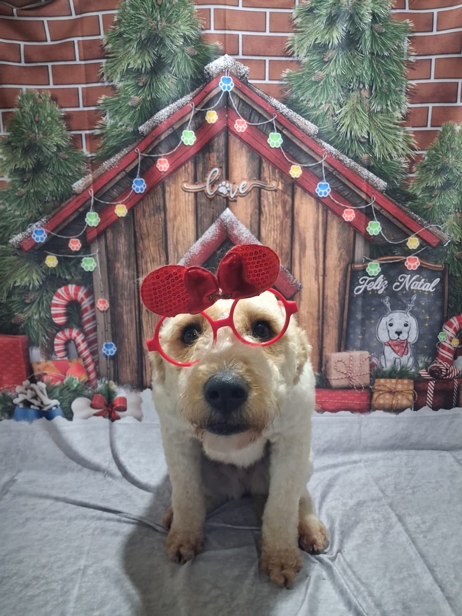 Estação Vet - Clínica Veterinária - Pet Shop - Banho e Tosa