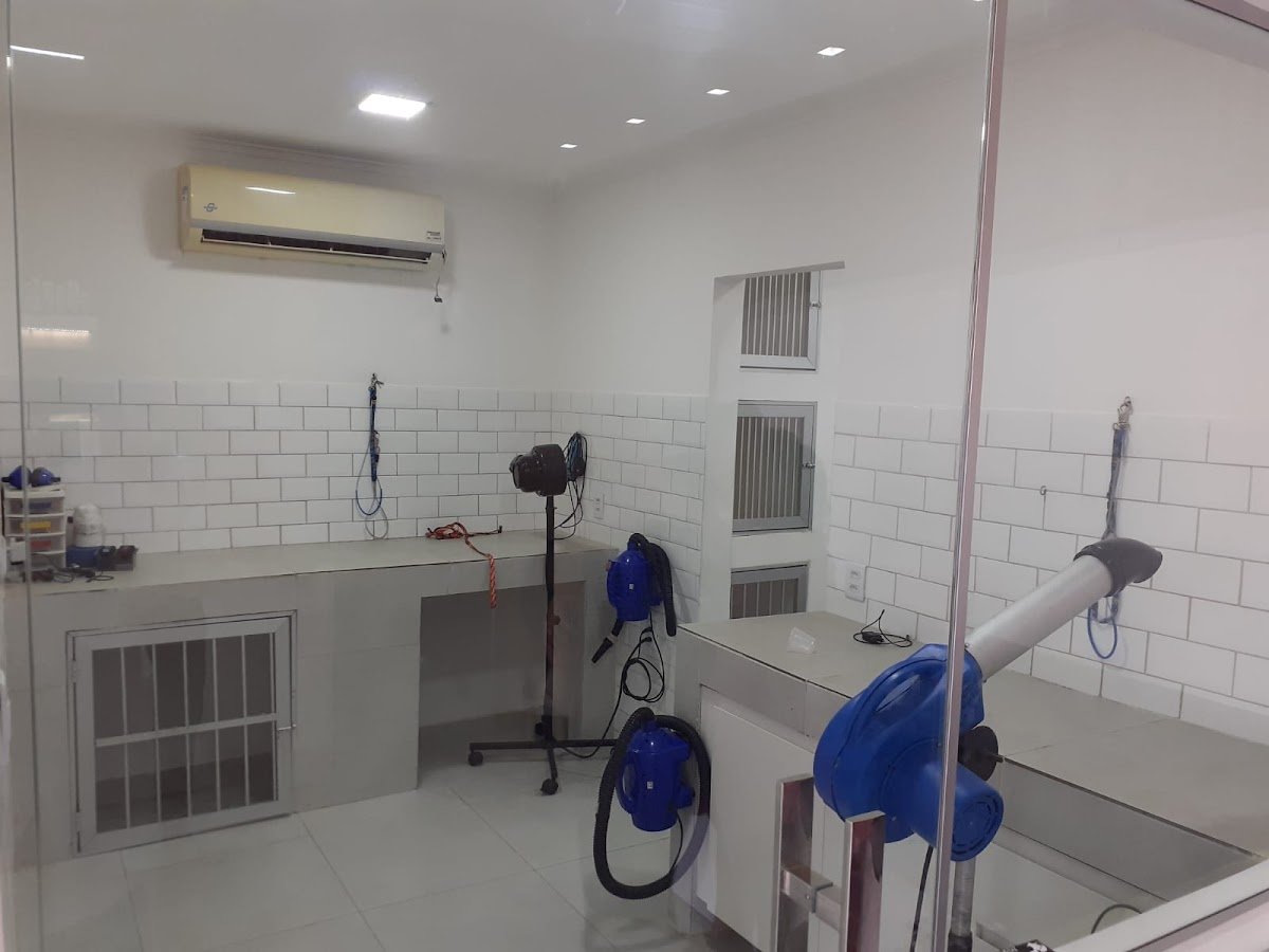 Bicho Solto Hospital Veterinário