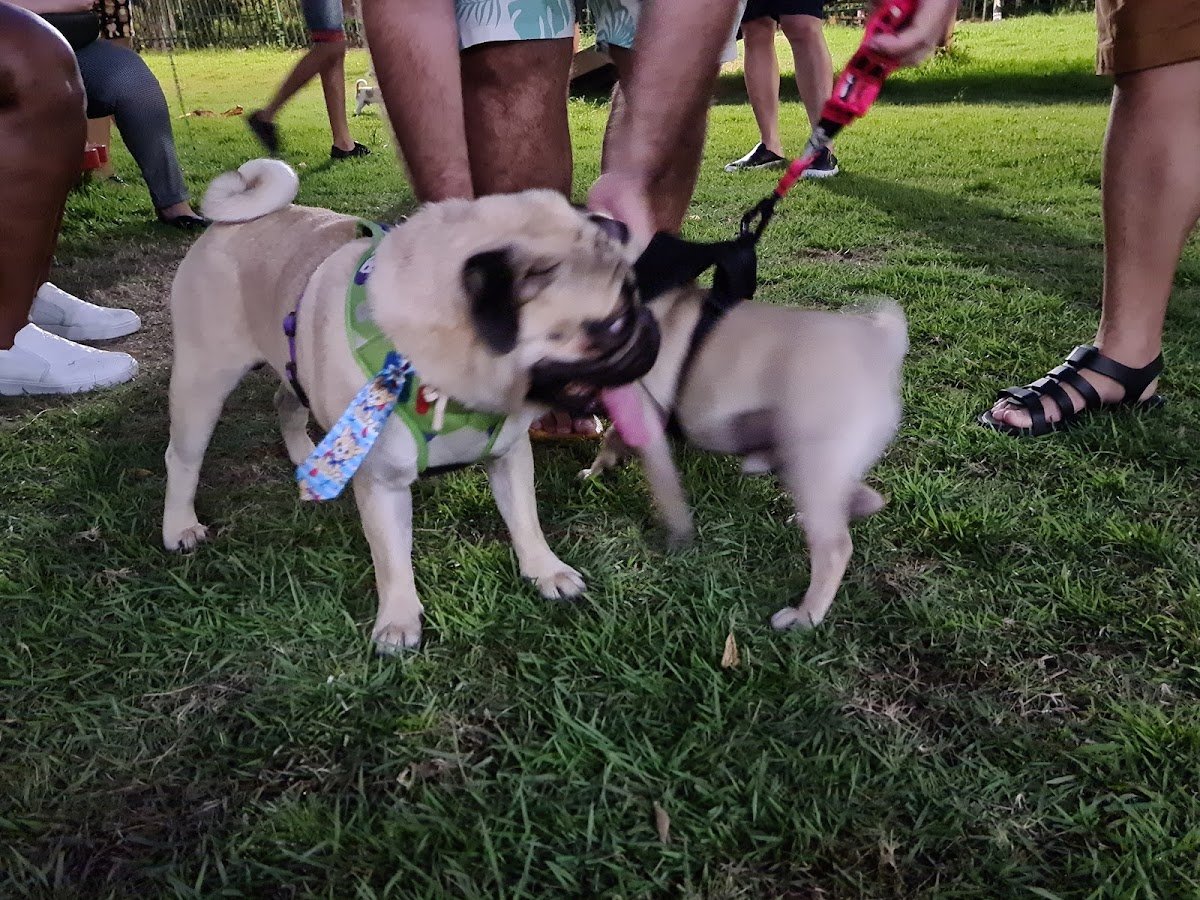 Parcão Shopping Recife