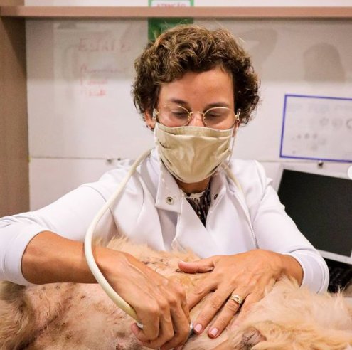 Inova Imagem Veterinária - Unidade Casa Forte