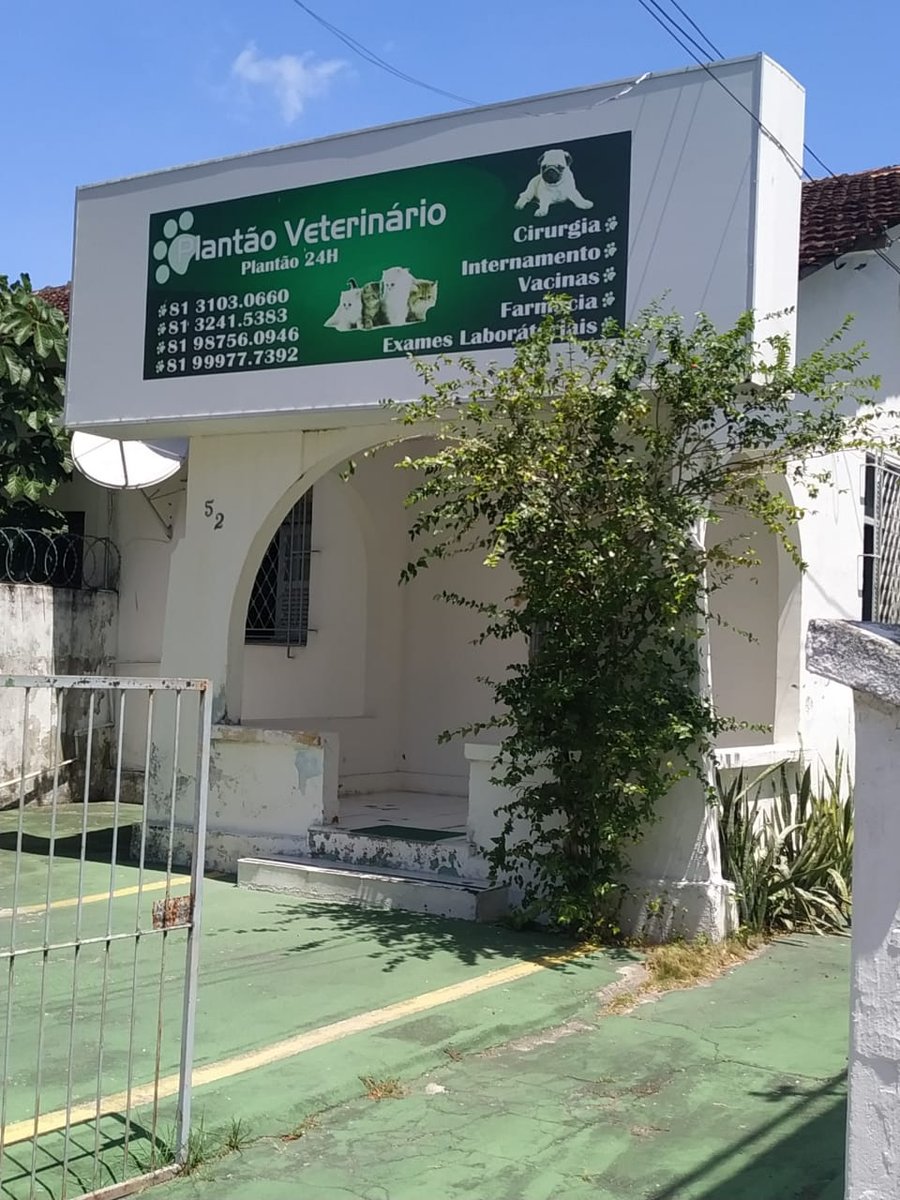 Plantão Veterinário
