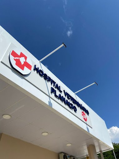 Hospital Veterinário Planalto - Clínica Veterinária Manaus