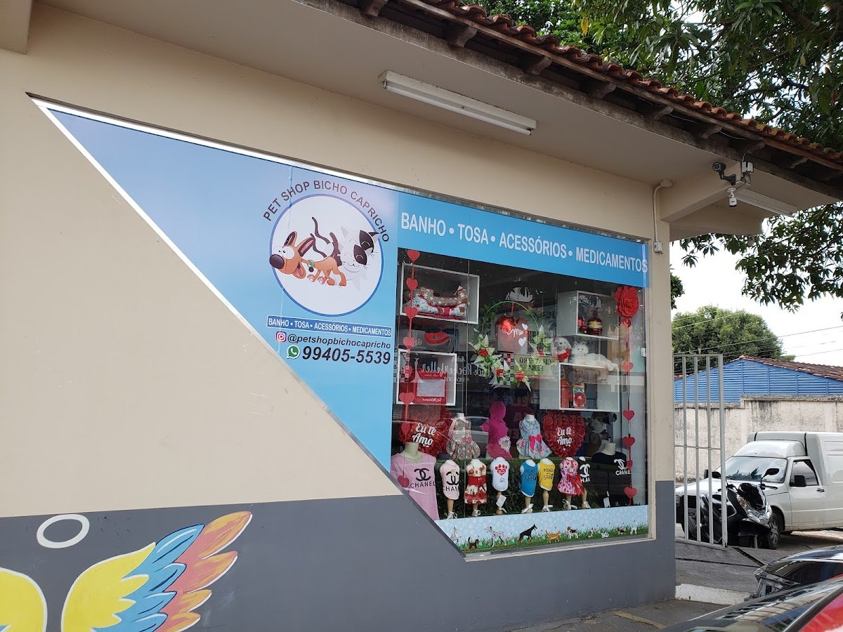 🐾Pet shop Bicho Capricho – Tudo para Seu Pet em Manaus | Bairro Adrianópolis