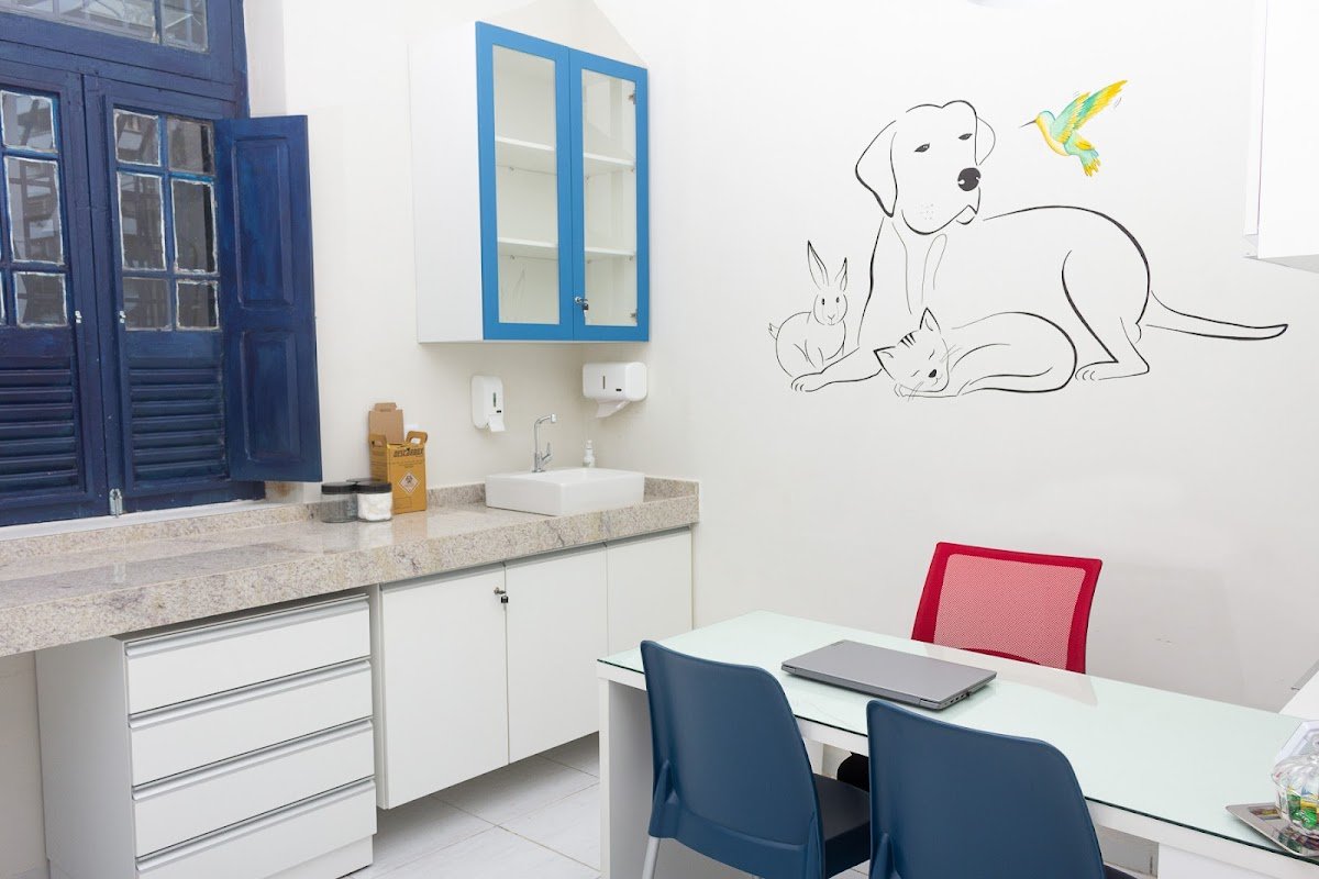 Veterinário Consultório AuConchego