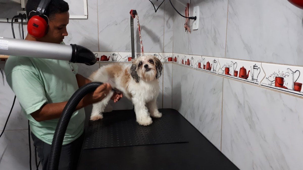 Consultorio Veterinário Dra. Djanete Reis