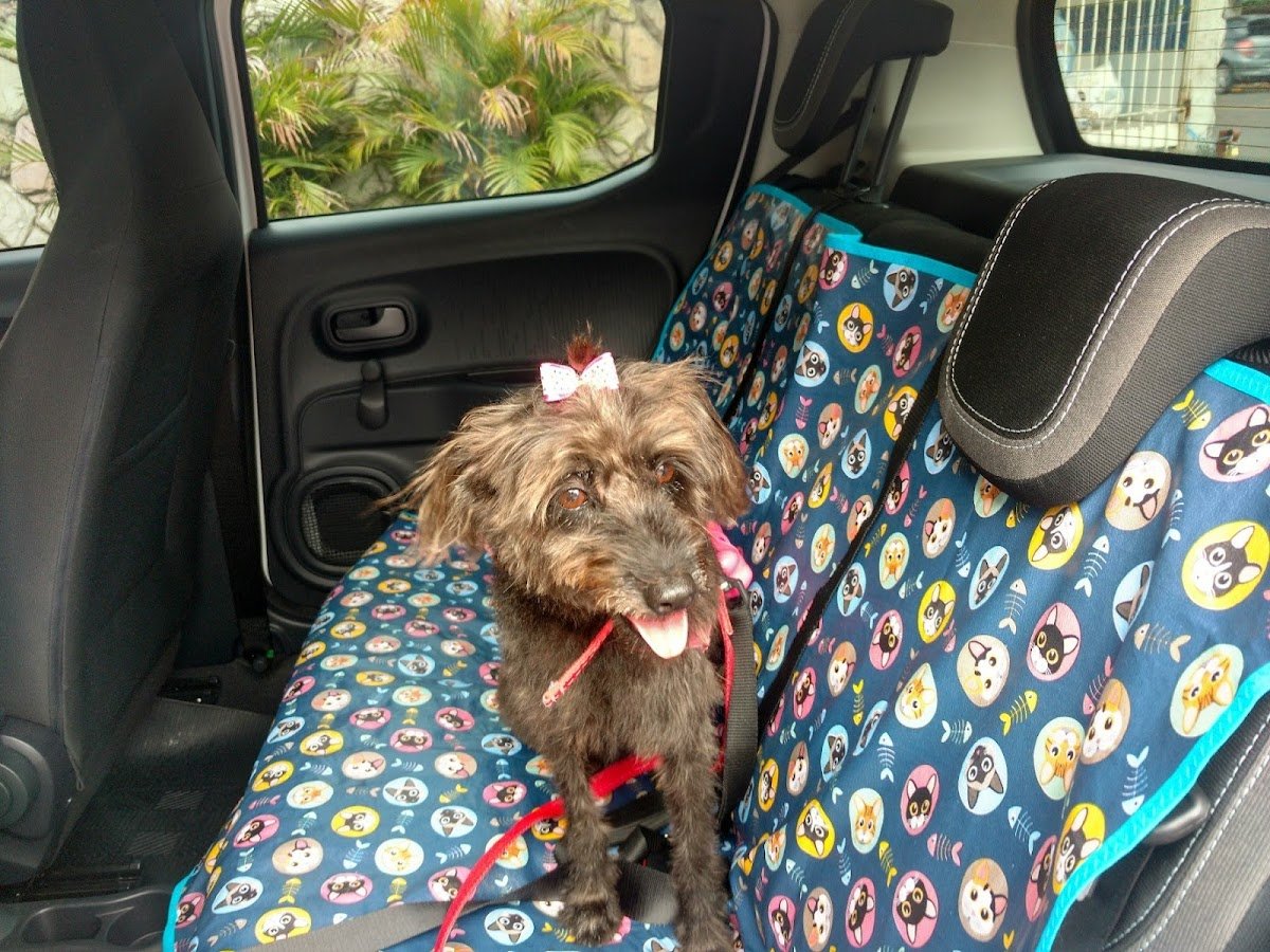 Pet Shop Bello Animal