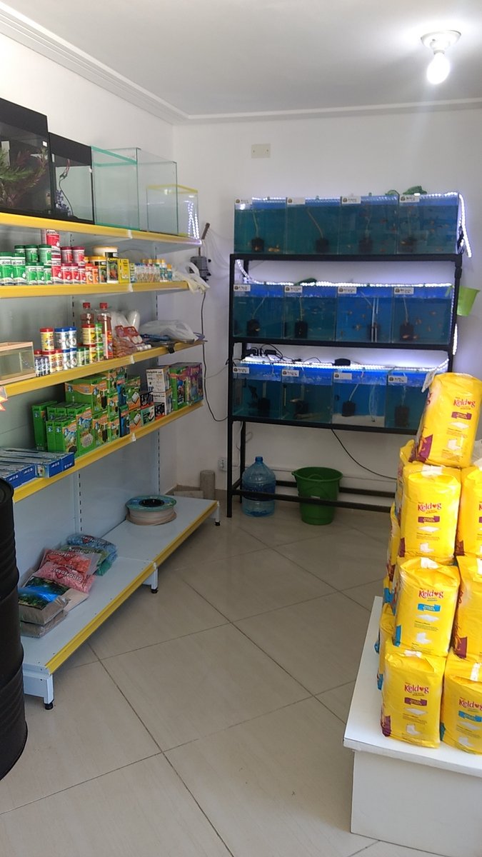 Pet Food - Estética Canina