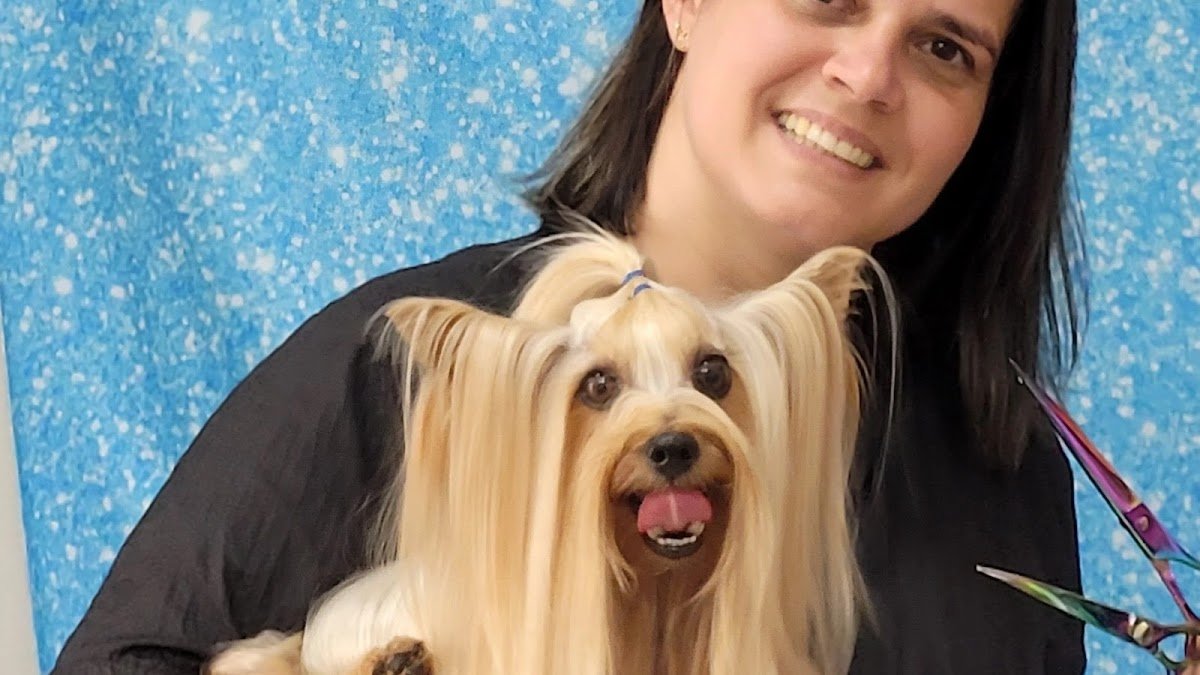 Banho e Tosa - Asa Branca em Camaragibe