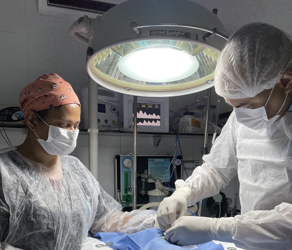 CLÍNICA VETERINÁRIA ALFA