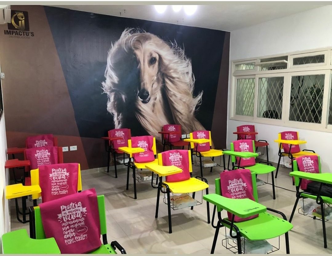 CURSO DE BANHO E TOSA RECIFE