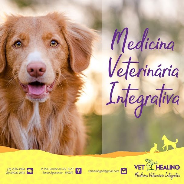 Vet Healing - Clínica Veterinária Integrativa em BH