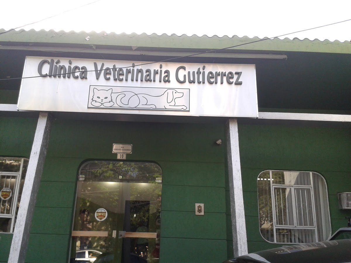Clínica Veterinária Gutierrez