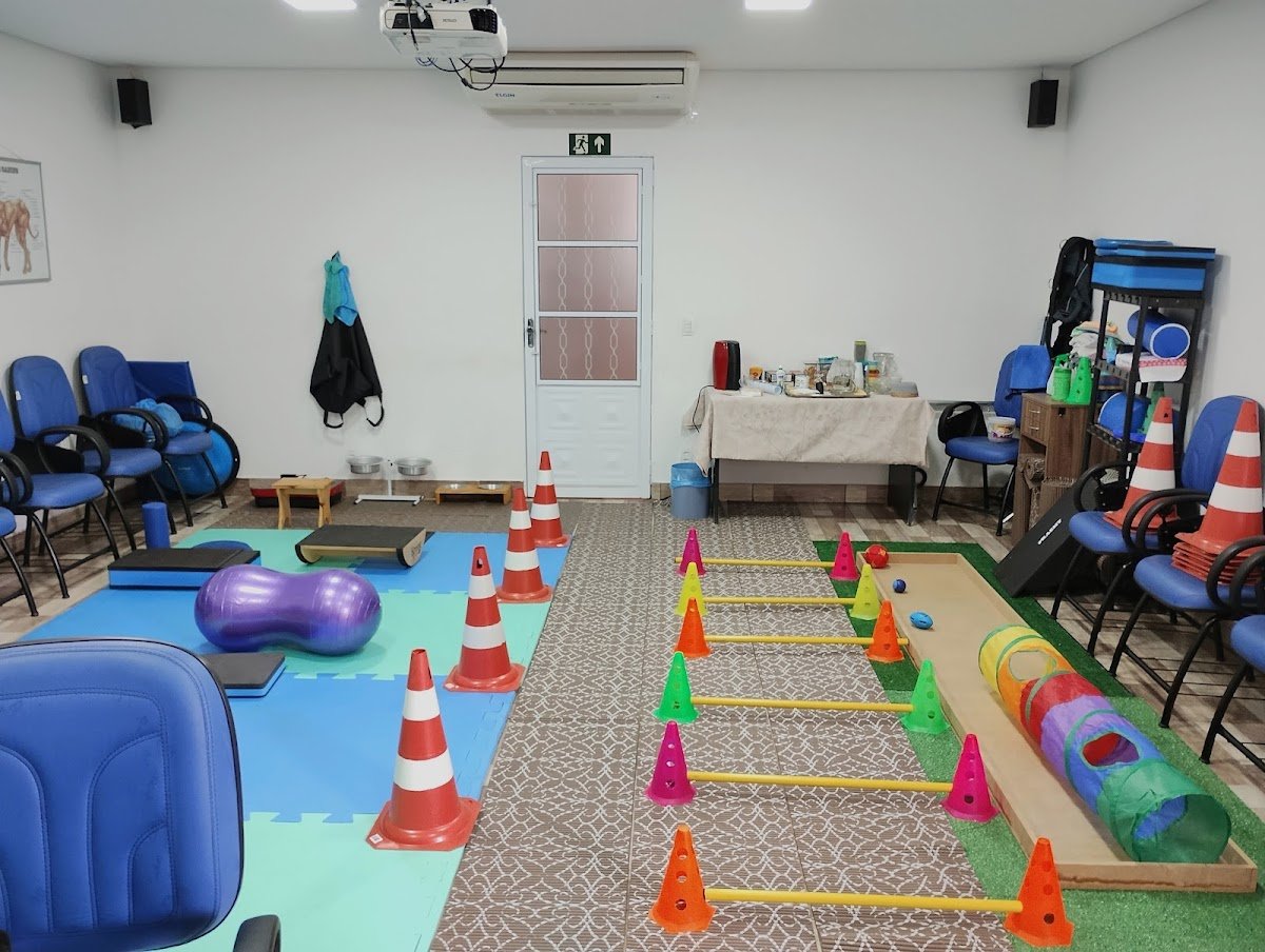 Hospital Veterinário de Urgência - HVU24h