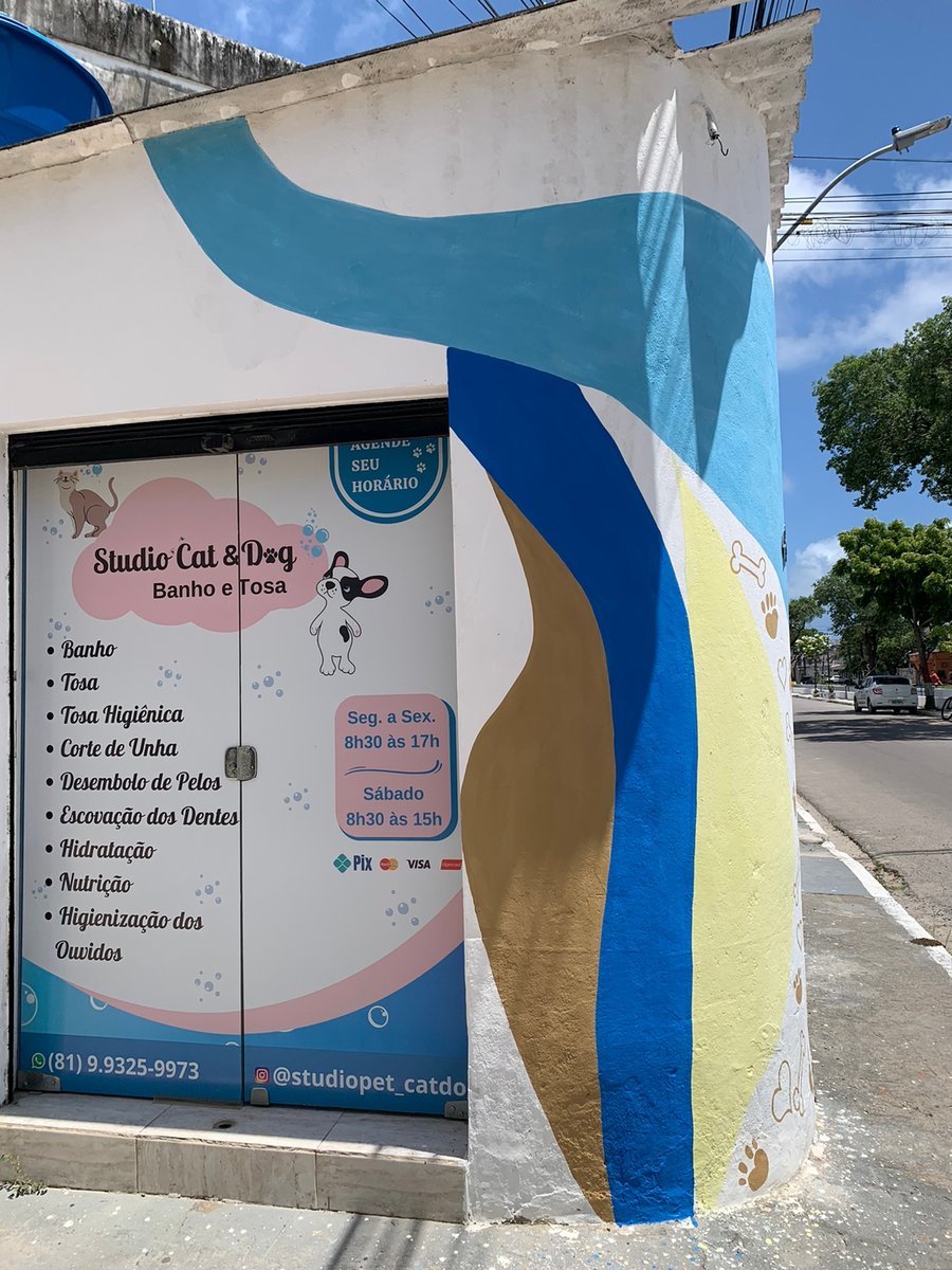 Studio Pet Cat & Dog