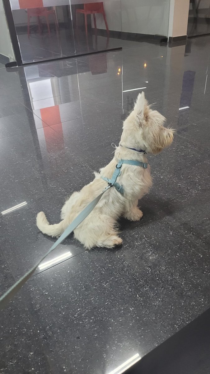 Coworking Vets Recife