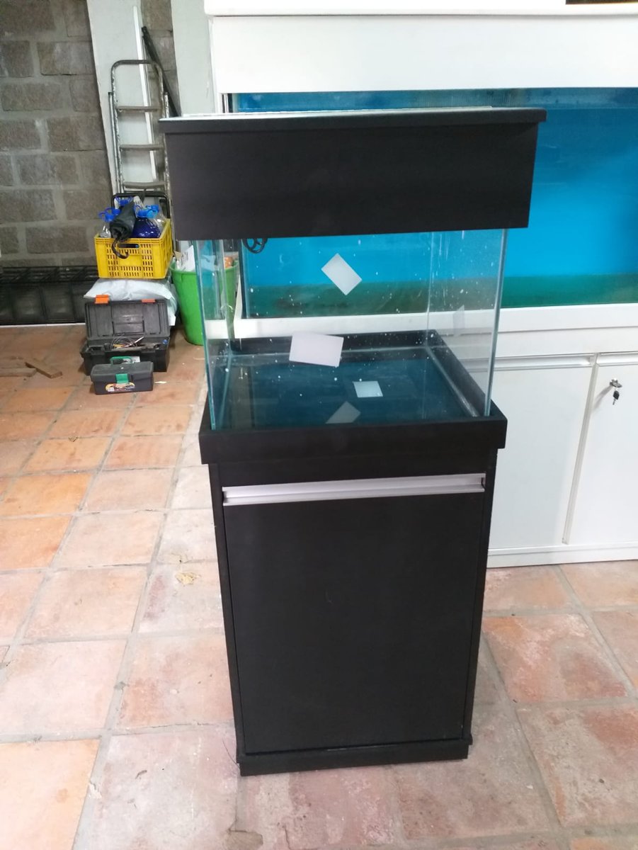 Mundo Natural - Aquários e Peixes Ornamentais