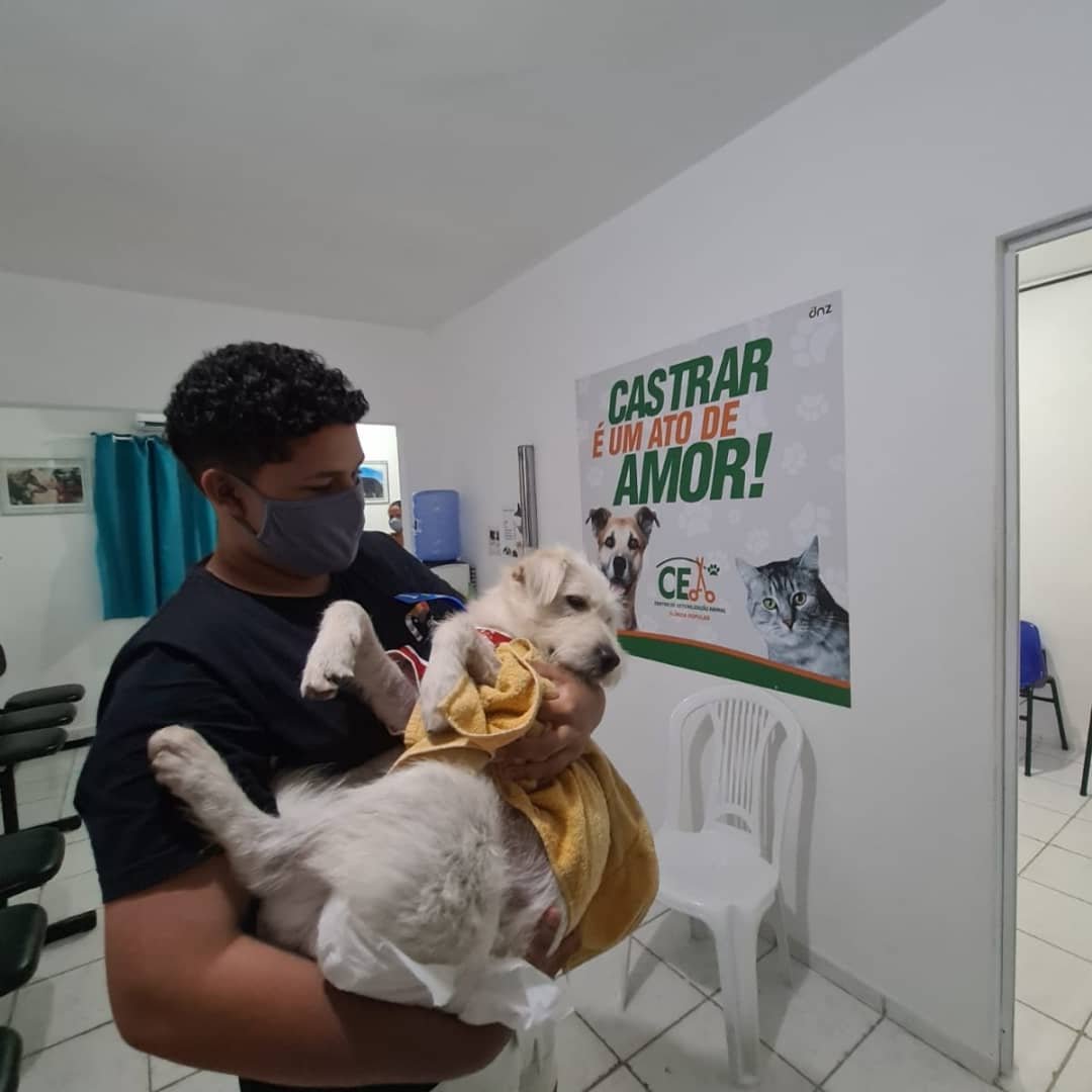 CEA - Centro de Esterilização Animal