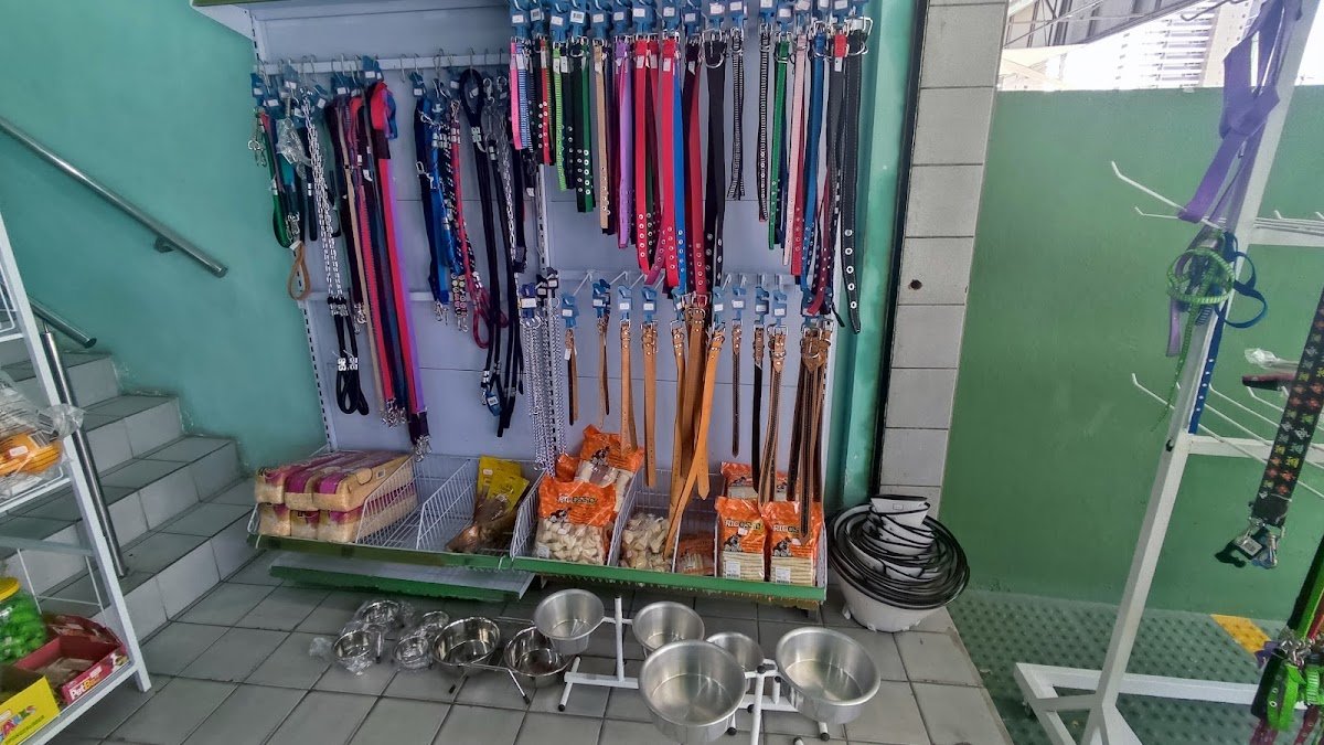 Organização Veterinária Recife