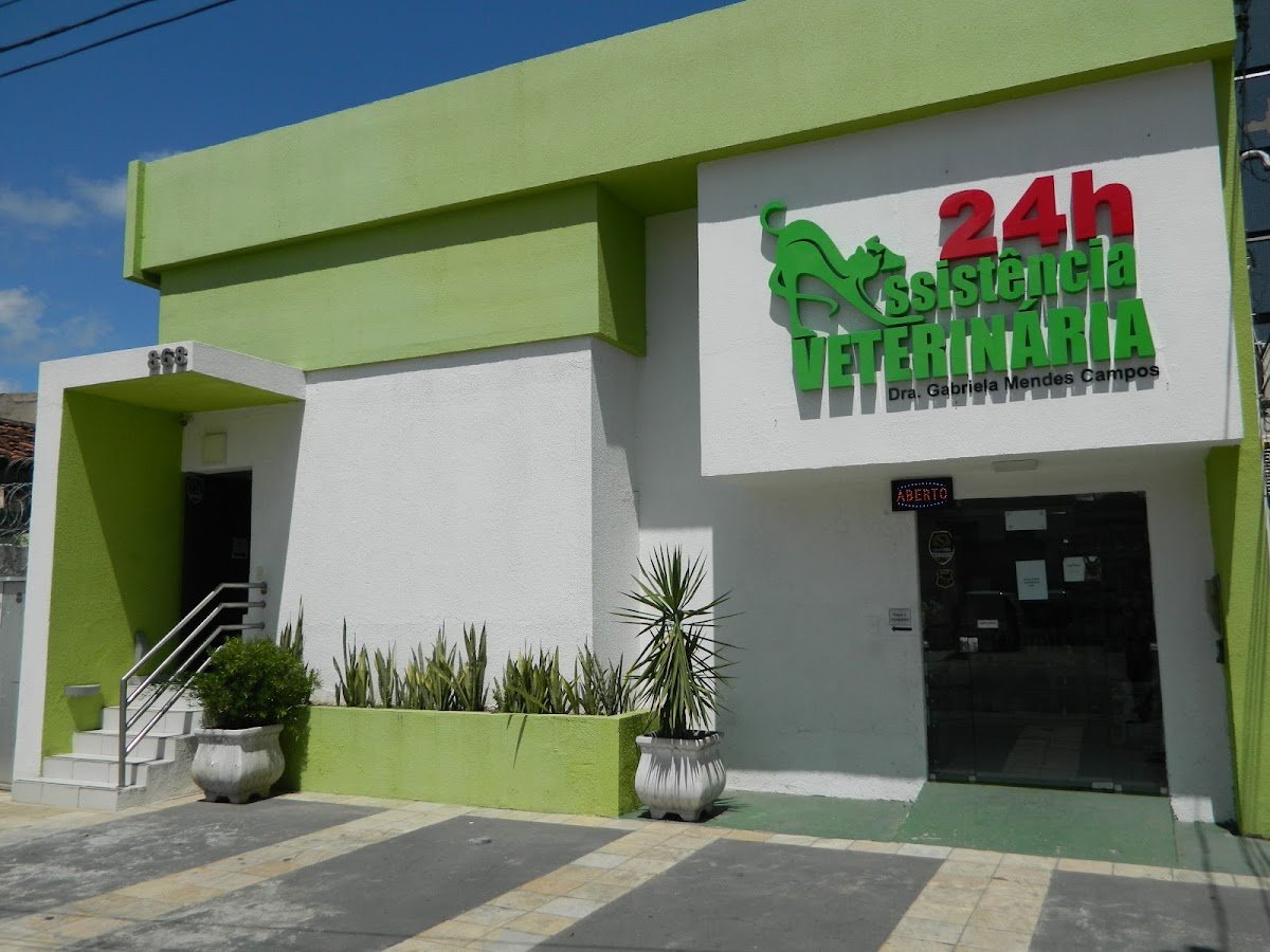 Hospital Veterinário Madalena Recife - VITA 24h