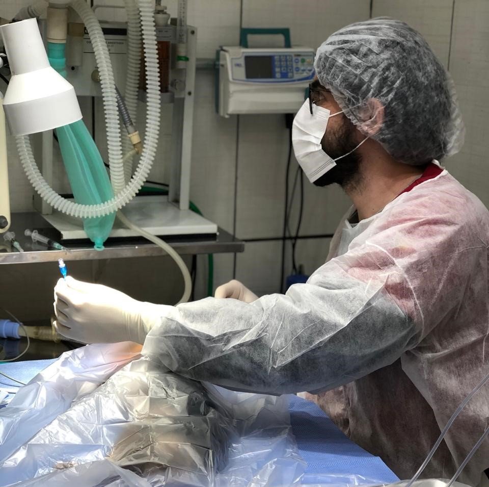 Clínica Veterinária PetVet POA