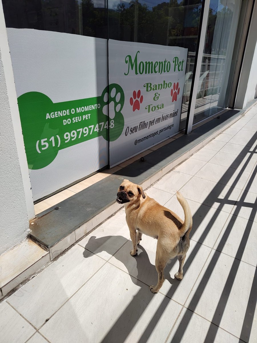 Momento Pet Banho e Tosa